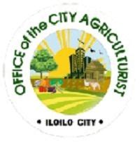 locanto iloilo|Iloilo City Government .